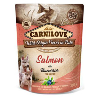 Carnilove Dog Pouch Paté Salmon & Blueber Puppies 300g