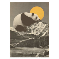 Obrazová reprodukce Panda's Nap into Mountains, Bodart, Florent, 30 × 40 cm