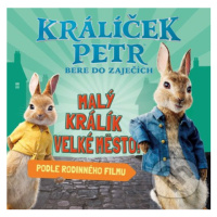 Králíček Petr bere do zaječích (Malý králik, velké město!) - kniha z kategorie Beletrie pro děti