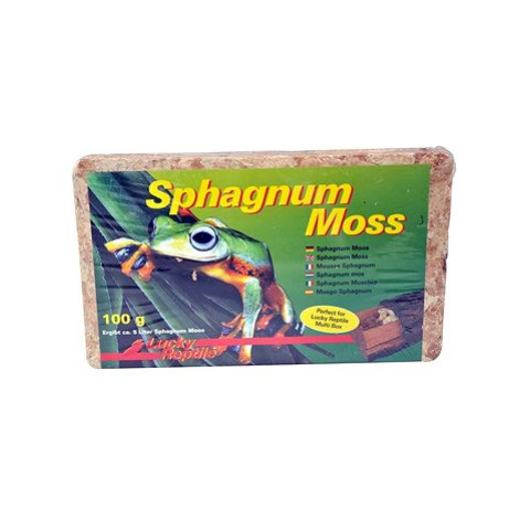 Lucky Reptile Sphagnum Moss rašeliník 100 g 5 l