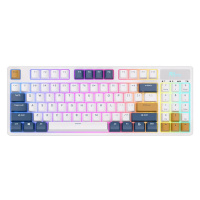 Klávesnice Royal Kludge RK89 RGB Wireless Mechanical Keyboard, Lemon Switch (White)