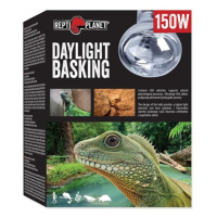 Žárovka REPTI PLANET Daylight Basking Spot 150 W