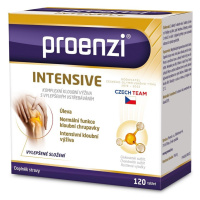 Proenzi Intensive 120 tablet