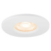 BIG WHITE (SLV) Kryt UNIVERSAL DOWNLIGHT pro stropní svítidlo, IP65, kulatý, bílý 1008068