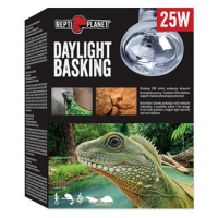 Repti Planet žárovka Daylight Basking Spot 25 W