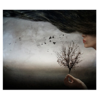 Fotografie Autumn mood, Elisaveta Jordanova, 40 × 34.4 cm