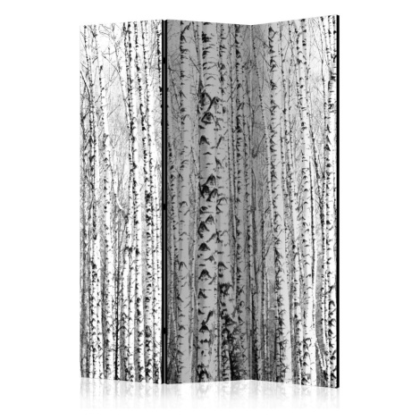 Paraván Birch forest Dekorhome 225x172 cm (5-dílný) Artgeist