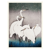 Obrazová reprodukce Group of Egrets (Japandi Vintage) - Ohara Koson, (30 x 40 cm)