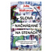 Slová načmárané na stenách (Ak nemôžete dôverovať svojej mysli, dôverujte svojmu srdcu) - kniha 