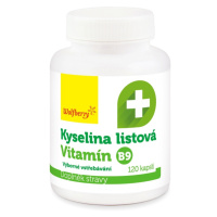 Wolfberry Kyselina listová 120 kapslí