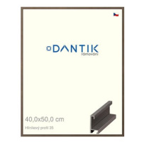 DANTIK rámeček 40 × 50, ALU profil 6035 Hnědý tmavý plexi čiré