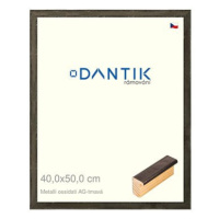 DANTIK rámeček 40 × 50, Metalli oidati AG tmavý plexi čiré