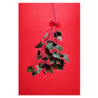 Ilustrace Mistletoe With Red Bow, Treechild, 26.7 × 40 cm