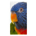 Impar Osuška Barevný papoušek, 70 × 140 cm