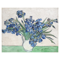 Obrazová reprodukce Irises, 1890, Vincent van Gogh, 40x30 cm