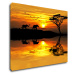 Impresi Obraz Safari západ slunce - 90 x 70 cm