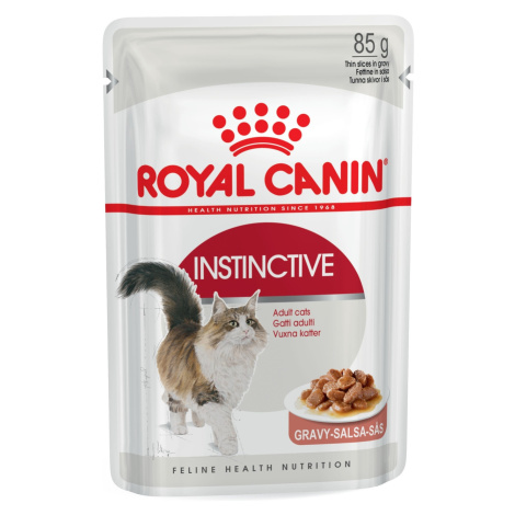 Royal Canin Hair&Skin ve šťávě 12 x 85 g