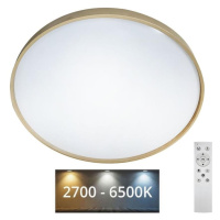 LED Stmívatelné stropní svítidlo DRINA LED/36W/230V 2700-6500K +dálkové ovládání