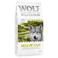 Výhodné balení: 2 x 12 kg Wolf of Wilderness granule - Adult Green Fields - jehněčí