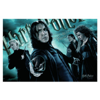 Umělecký tisk Harry Potter - Followers of Voldemort, 40 × 26.7 cm