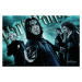 Umělecký tisk Harry Potter - Followers of Voldemort, 40 × 26.7 cm