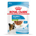 Royal Canin X-Small Puppy v omáčce - výhodné balení: 4 x 12 kapsiček (48 x 85 g)