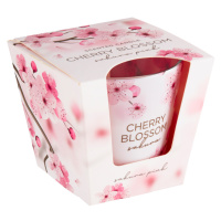 Cherry Blossom Sakura Pink vonná svíčka 115g