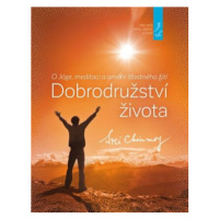 Dobrodružství života - Sri Chinmoy