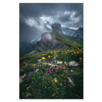 Fotografie Dolomites - Seceda 2500, Jean Claude Castor, 26.7 × 40 cm