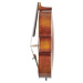 Bacio Instruments Professional Cello Antique (ACA300) 4/4