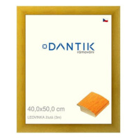 DANTIK rámeček 40 × 50, LEDVINKA žlutý plexi čiré