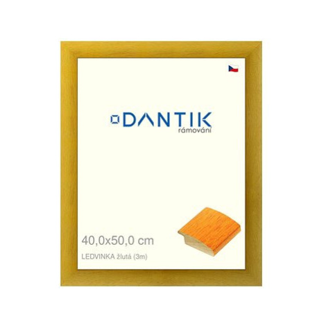 DANTIK rámeček 40 × 50, LEDVINKA žlutý plexi čiré