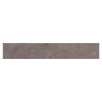 Dlažba Pastorelli Biophilic dark grey 20x120 cm mat P009527