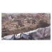 Company of Heroes 3 Launch Edition Metal Case (PC)