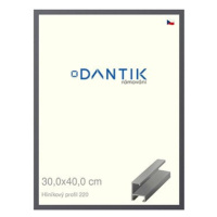 DANTIK rámeček 30 × 40, ALU profil 6220 Ocelový plexi čiré