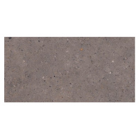 Dlažba Pastorelli Biophilic dark grey 30x60 cm mat P009501