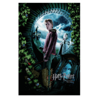 Umělecký tisk Harry Potter a Vězeň z Azkabanu - Ron, 26.7 × 40 cm