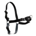 PetSafe® Postroj EasyWalk Harness, černý L