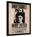 Obraz na zeď - Harry Potter - Undesirable N.1, 34.5 × 44.3 cm