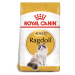 ROYAL CANIN Ragdoll Adult granule pro kočky 2 × 10 kg
