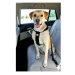 Zolux Postroj pes Bezpečnostní do auta XL