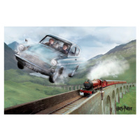 Umělecký tisk Harry Potter - Ford, 40x26.7 cm