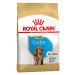 Royal Canin Cocker Puppy - 3 kg