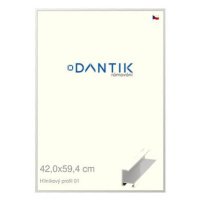 DANTIK rámeček 42 × 59,4, ALU profil 6001 Stříbrný lesklý plexi čiré