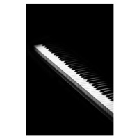 Umělecká fotografie piano keys isolated on white, Natalya Sergeeva, (26.7 x 40 cm)