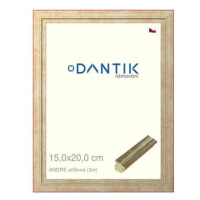 DANTIK rámeček 15 × 20, ANDRE stříbrný sklo čiré