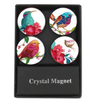 Albi Krystalové magnetky - kruhy ptáčci
