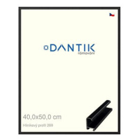 DANTIK rámeček 40 × 50, ALU profil 7269 Černý matný sklo čiré