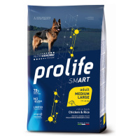 Prolife Dog Smart Adult Medium/Large Chicken & Rice - 2 x 12 kg