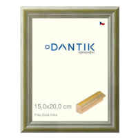 DANTIK rámeček 15 × 20, Y-ka žlutý linka sklo čiré